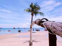 Dive, Hike, Party: Backpacking Koh Tao Like a Pro