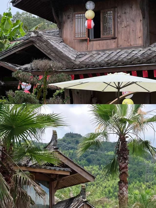 泰順好靚，但唔建議6月去，因為……