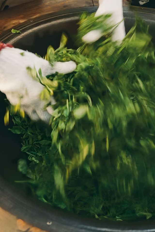 鳳凰宿棲｜遠離喧囂的大理周邊寶藏酒店