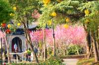 常州-泰州-興化 江南五日遊