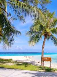 Mataking Island is So Mesmerizing in Semporna❤️🥰