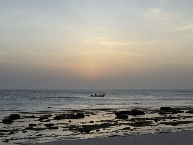 Hidden Gem of the Middle East – Oman 🇴🇲