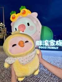 啊啊啊被萌化了！澳門老佛爺金銀島居然被胖滾家族佔領啦🐽！