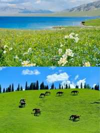 奔向阿勒泰嘅夏天，邂逅北疆童話秘境