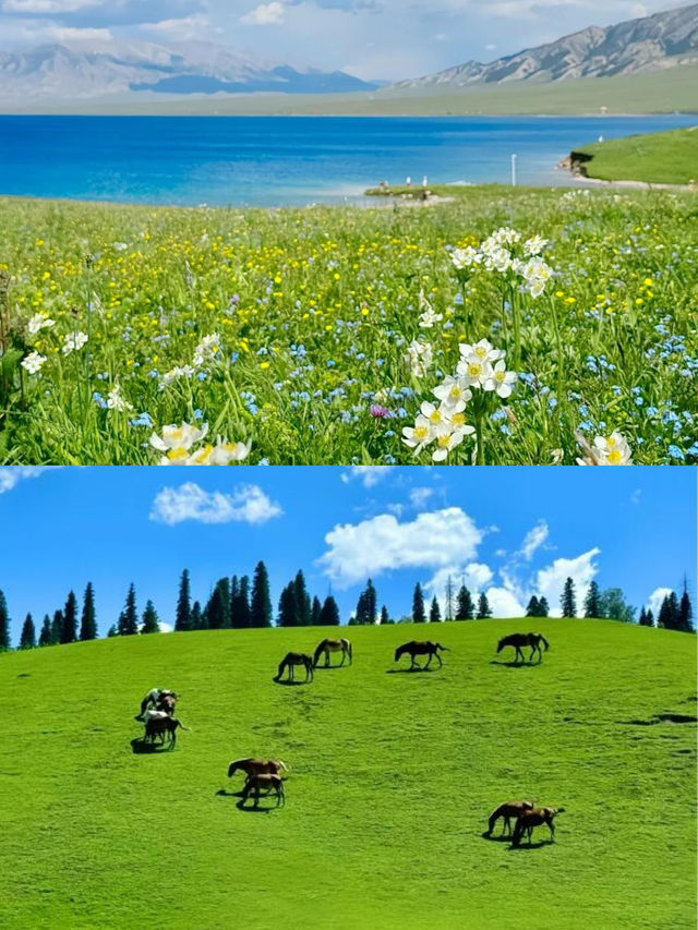 奔向阿勒泰嘅夏天，邂逅北疆童話秘境