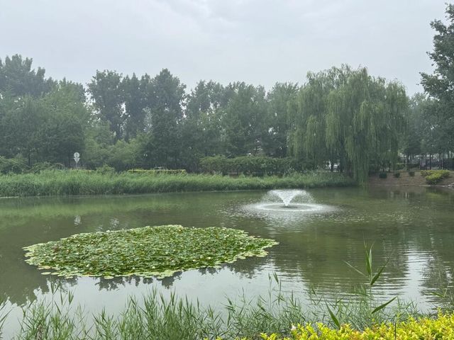 雨中圓明園：歷史與自然的私語