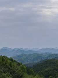 人氣樹屋酒店｜住喺群山之中睇雲海日出
