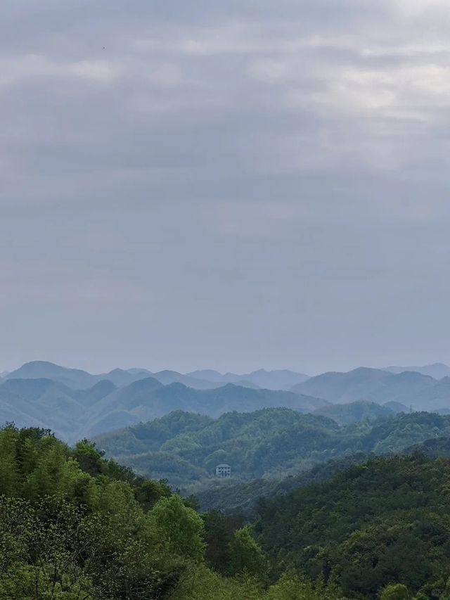 人氣樹屋酒店｜住喺群山之中睇雲海日出
