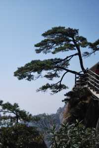 三清山絕對值得一遊，雲端之上的震撼令人難忘