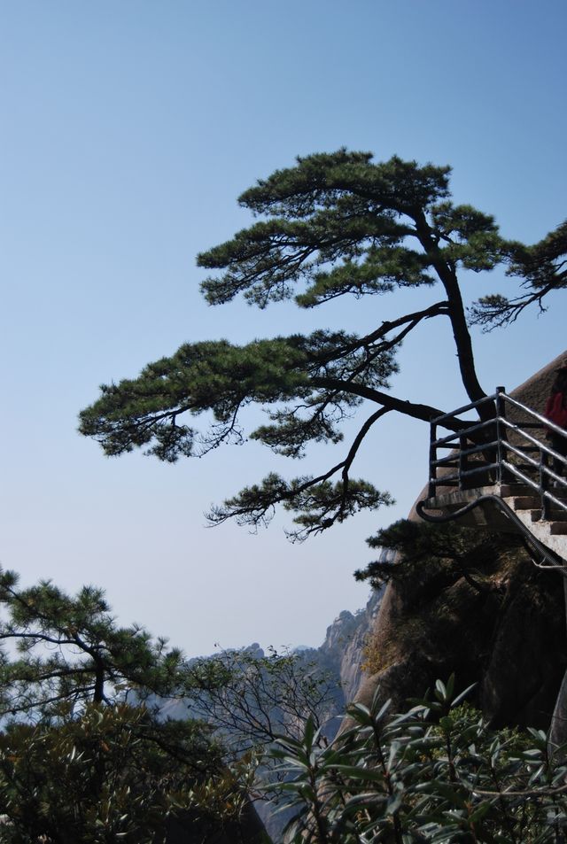 三清山絕對值得一遊，雲端之上的震撼令人難忘