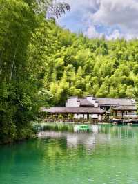 木坑竹海｜綠浪翻湧間，邂逅山野治癒力