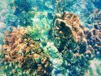 Ao Leuk Bay: Koh Tao's Enchanting Turquoise Sanctuary