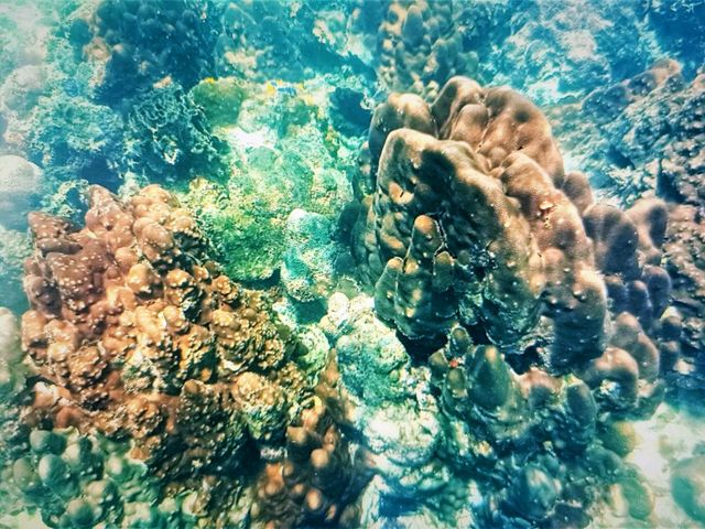 Ao Leuk Bay: Koh Tao's Enchanting Turquoise Sanctuary