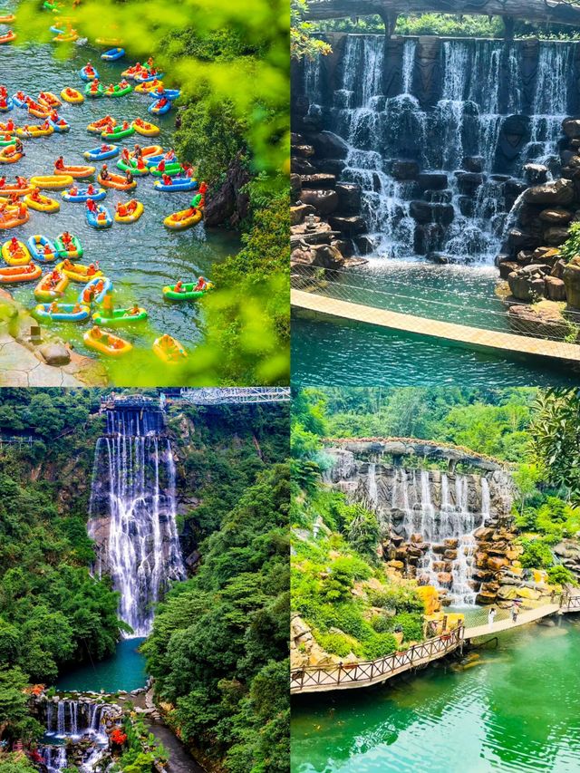 清遠新晉網紅地火出圈竹林雲海宛如仙俠世界