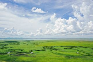 Be a wild horse running free! The Thousand-Mile Grassland Scenic Drive awaits your check-in