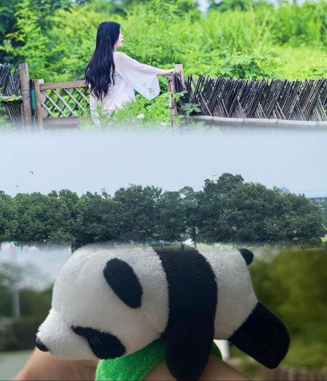 六月避暑首選！裸心泊超長湖岸線太棒了