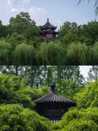 盛夏闖入滬郊秘境！這座園林藏著江南的詩意與清涼