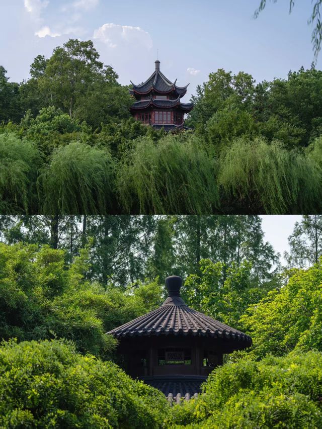 盛夏闖入滬郊秘境！這座園林藏著江南的詩意與清涼