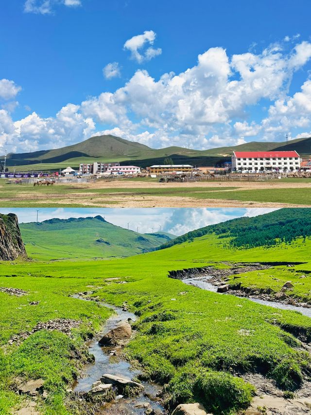 奔赴草原狂歡中國馬鎮遊玩攻略，演藝美食全解鎖