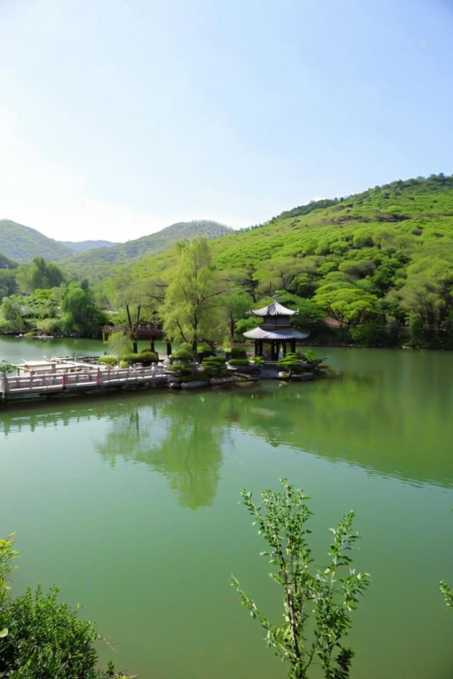 逃離高溫！躲進23℃紅葉谷，賞花玩水餵孔雀