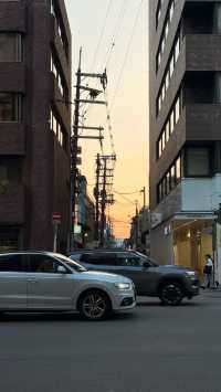 京都真係玩唔厭，去咗仲想再去。