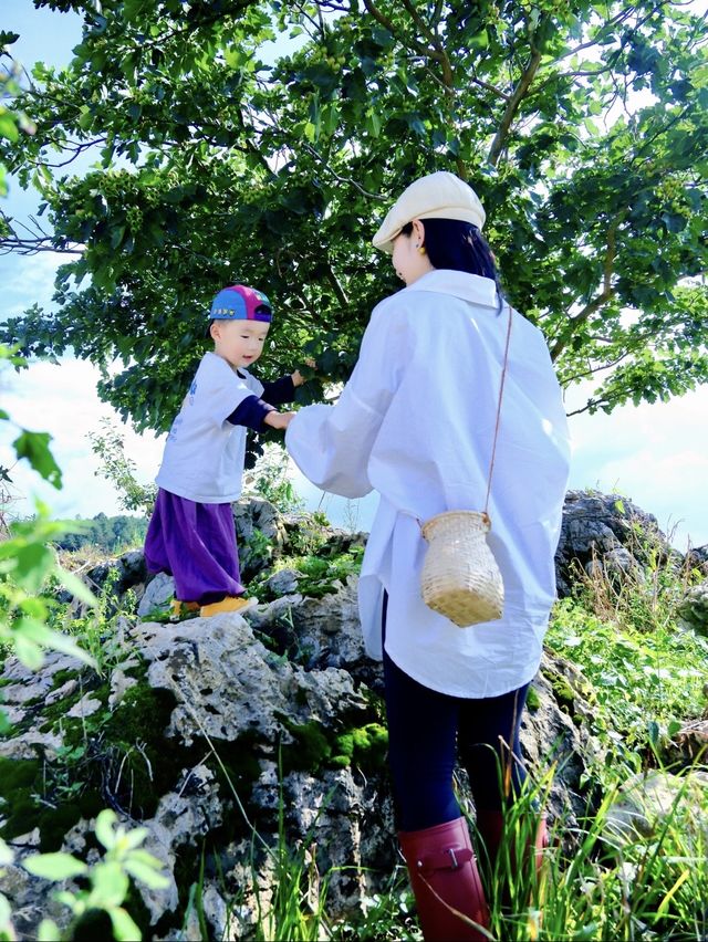 小友自然大會 | 呢度遛娃可以玩足全日