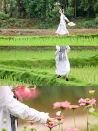 美術館稻田裡的夏日|人生應該有一場暑假