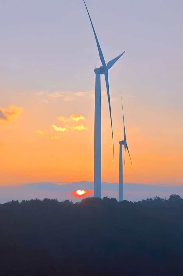 湖北「小阿勒泰」21℃夏天爽到飛起