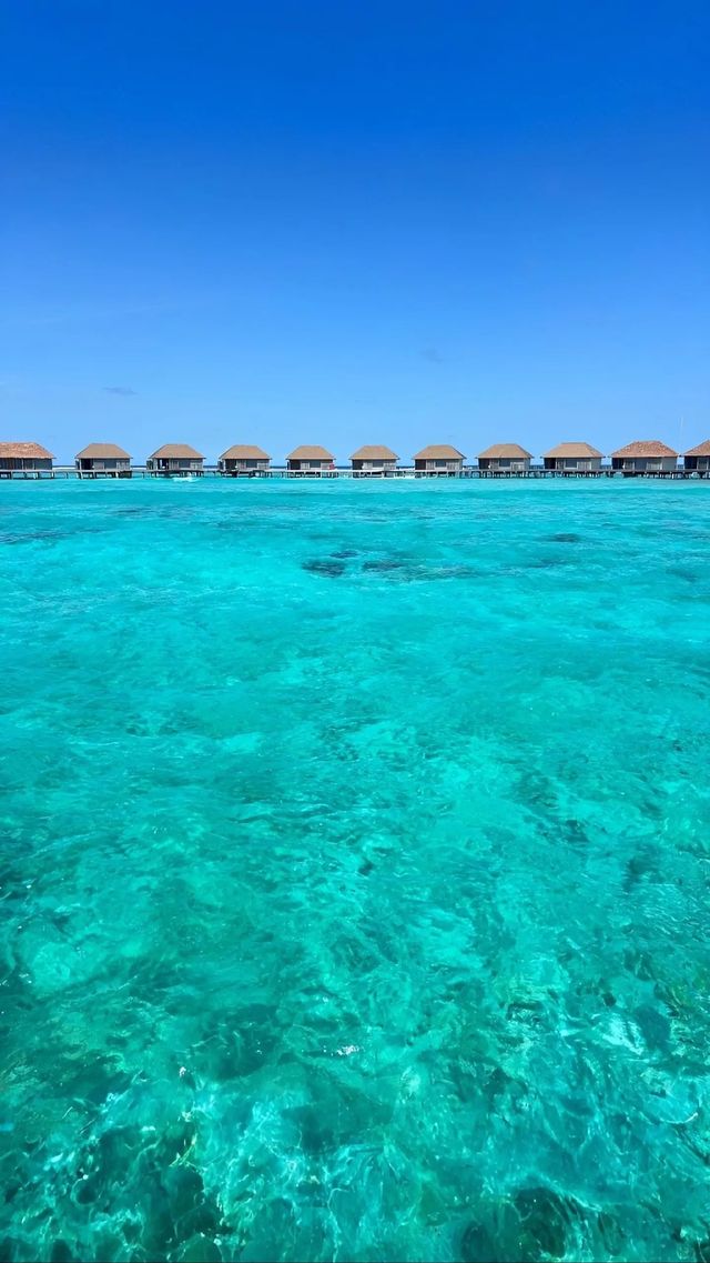 馬爾代夫絕美浮潛地