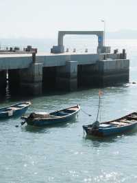 廈門海邊撒歡記 浪裡全是樂