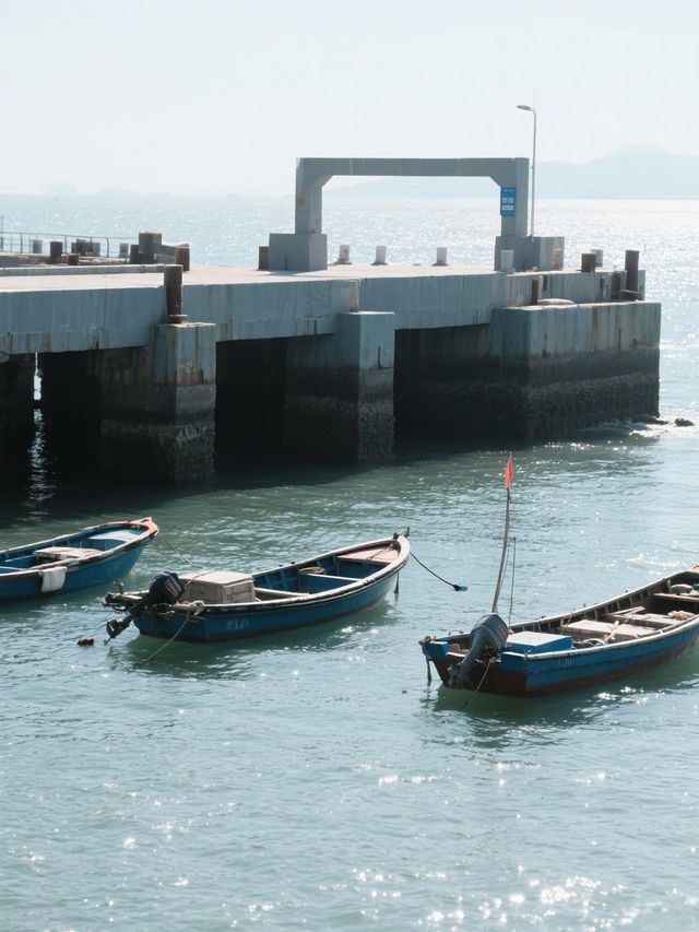 廈門海邊撒歡記 浪裡全是樂