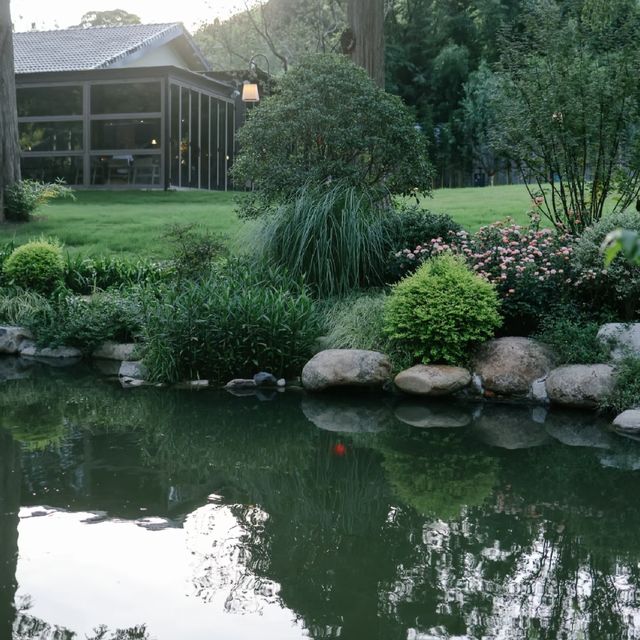 良渚｜隱藏於古樹深處，住進山系美學民宿