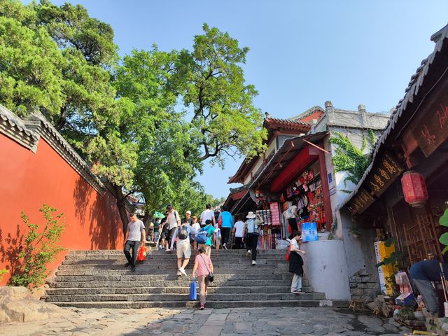 挑戰全程徒步紅門入，紅門出嘅泰山之旅
