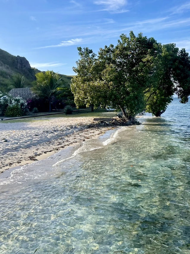 科莫多島｜與海底巨龍的邂逅
