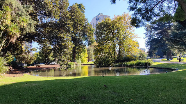 A Serene Stroll Through Carlton Gardens A Serene Stroll Through Carlton Gardens