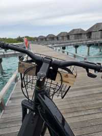 Family Fun and Firsts at the Island Resort