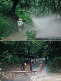 暑假帶娃｜|雲丘山森林秘境解鎖自然課堂