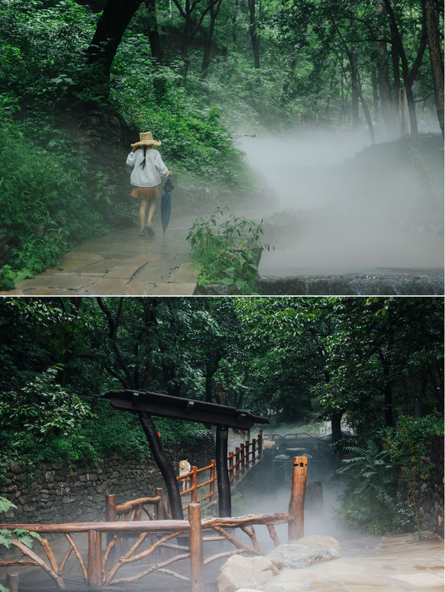 暑假帶娃｜|雲丘山森林秘境解鎖自然課堂