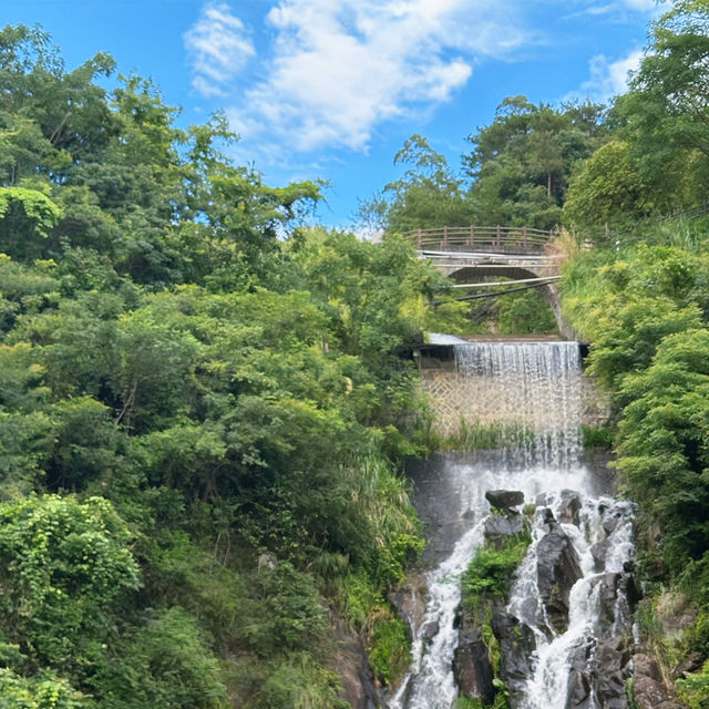廈門徒步路線推薦，週末進天竺山吸氧
