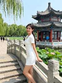 濟南大明湖超甜攻略｜跟著小娜解鎖「夏雨荷的浪漫」