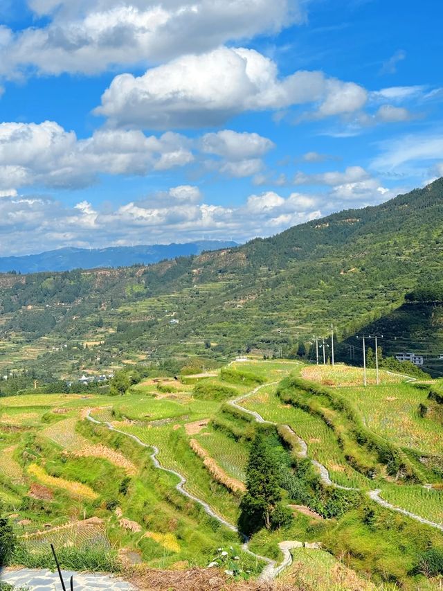 山中的避世秘境