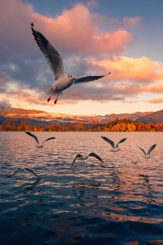 The upcoming Lugu Lake is as beautiful as a fairyland