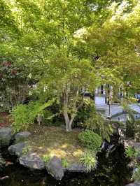 🌿 Hasedera Temple Garden: Where Zen Harmony Paints in Endless Green! 🍃