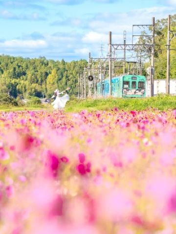 รถไฟนินจาของรถไฟอิกะนั้นงดงามจับใจ! แม้จะไม่มีรถไฟสีชมพู แต่ทิวทัศน์อันงดงามราวกับความฝันก็ยังคงอยู่