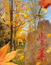 瀋陽農業大學開放賞秋