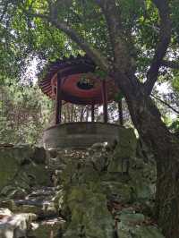 青浦仙境上海大觀園紅樓夢實景重現拍照打卡勝地