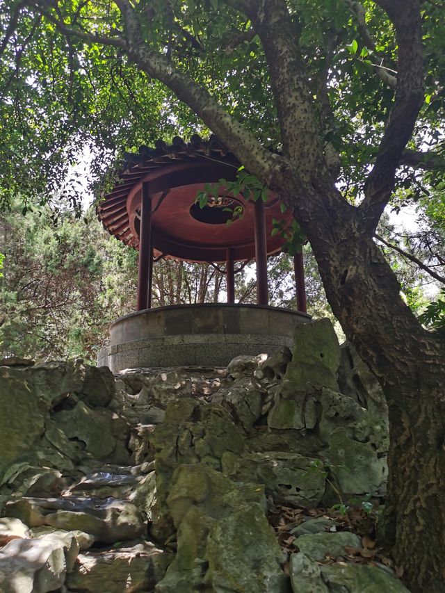 青浦仙境上海大觀園紅樓夢實景重現拍照打卡勝地