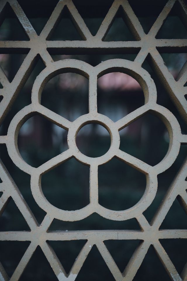 慧聚花海掃街日記｜降溫必穿風衣穿搭指南