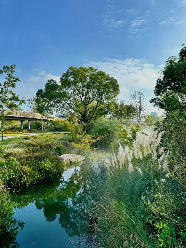 上海植物園 兔子南瓜派對上線 上海植物園 兔子南瓜派對上線