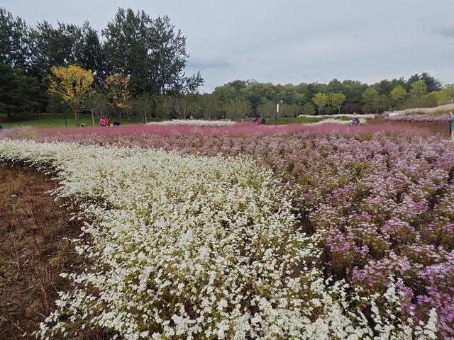 口袋公園-北小河公園 口袋公園-北小河公園